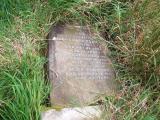image of grave number 164181
